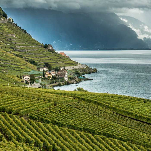 Vaud