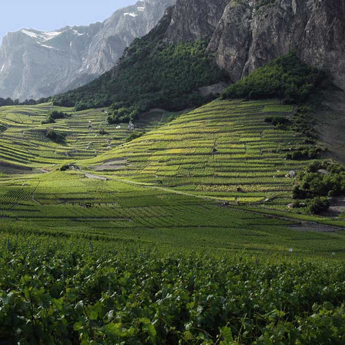 Valais