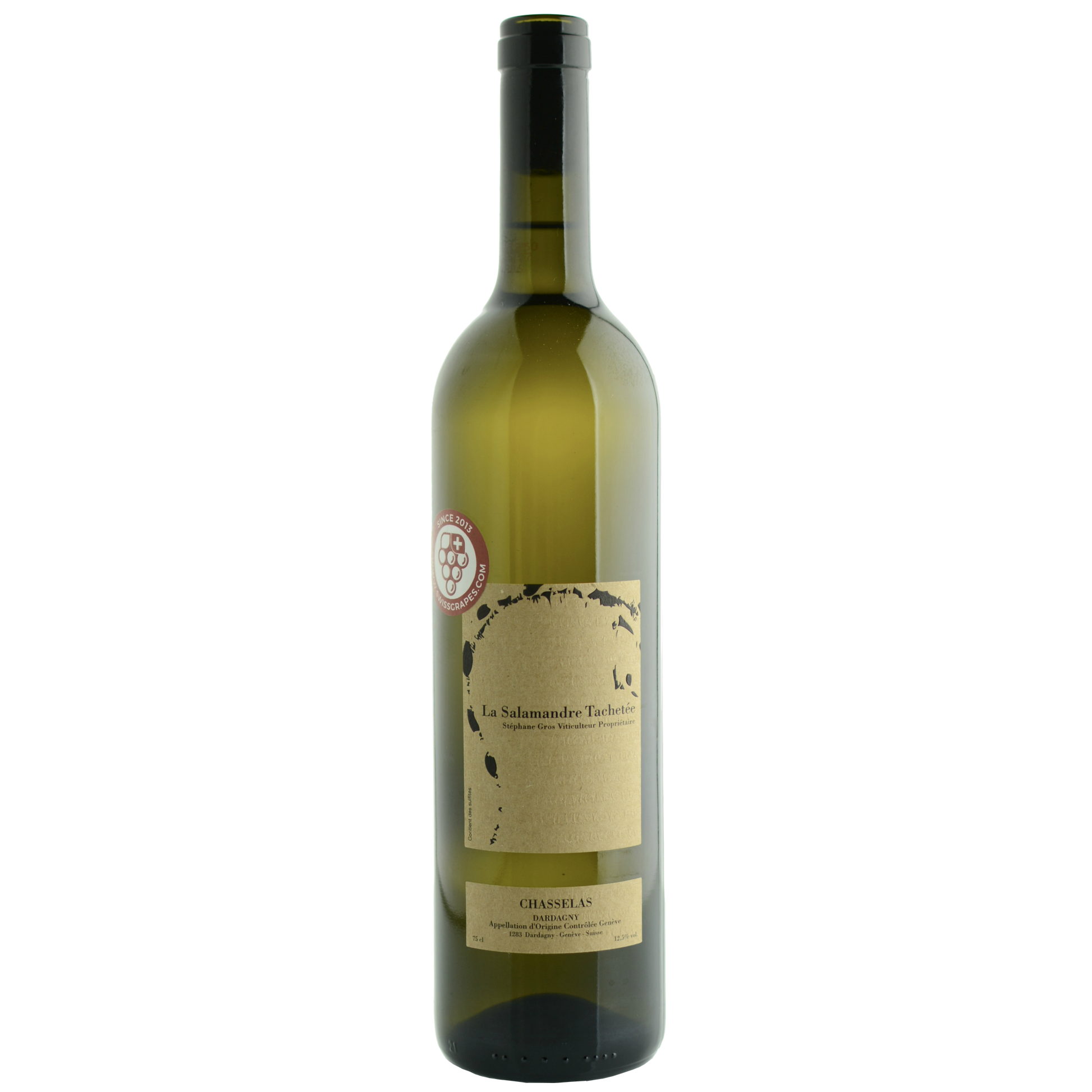 DER CHASSELAS-FLECKENSALAMANDER