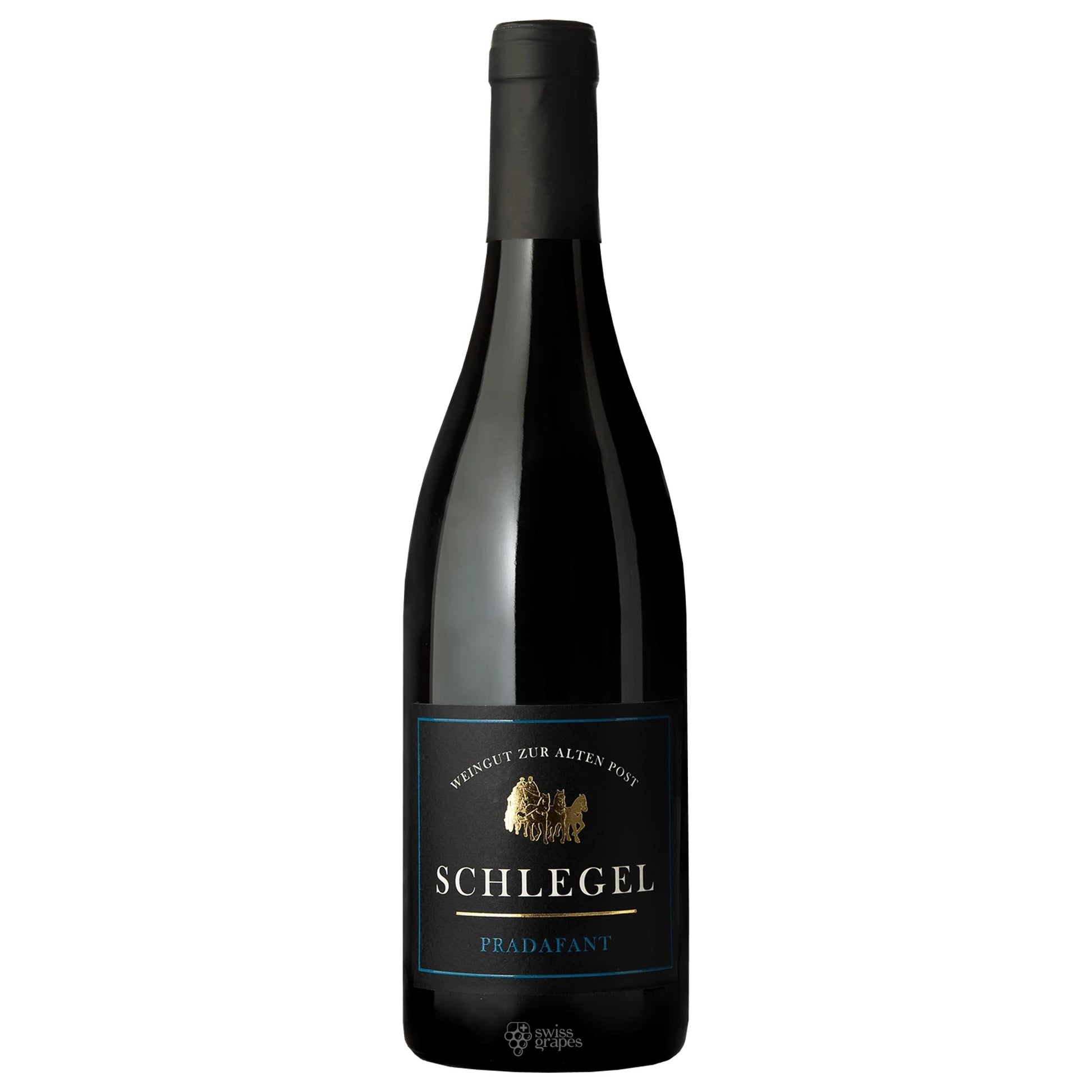 Pinot Noir Pradafant 