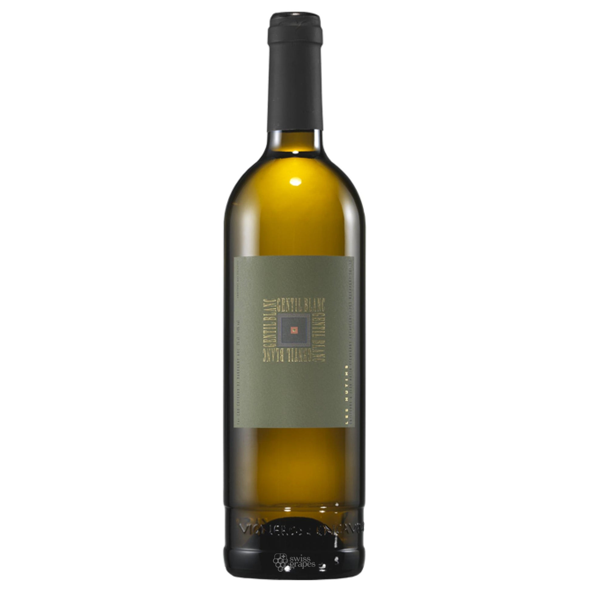 GENTIL BLANC - SAVAGNIN BLANC