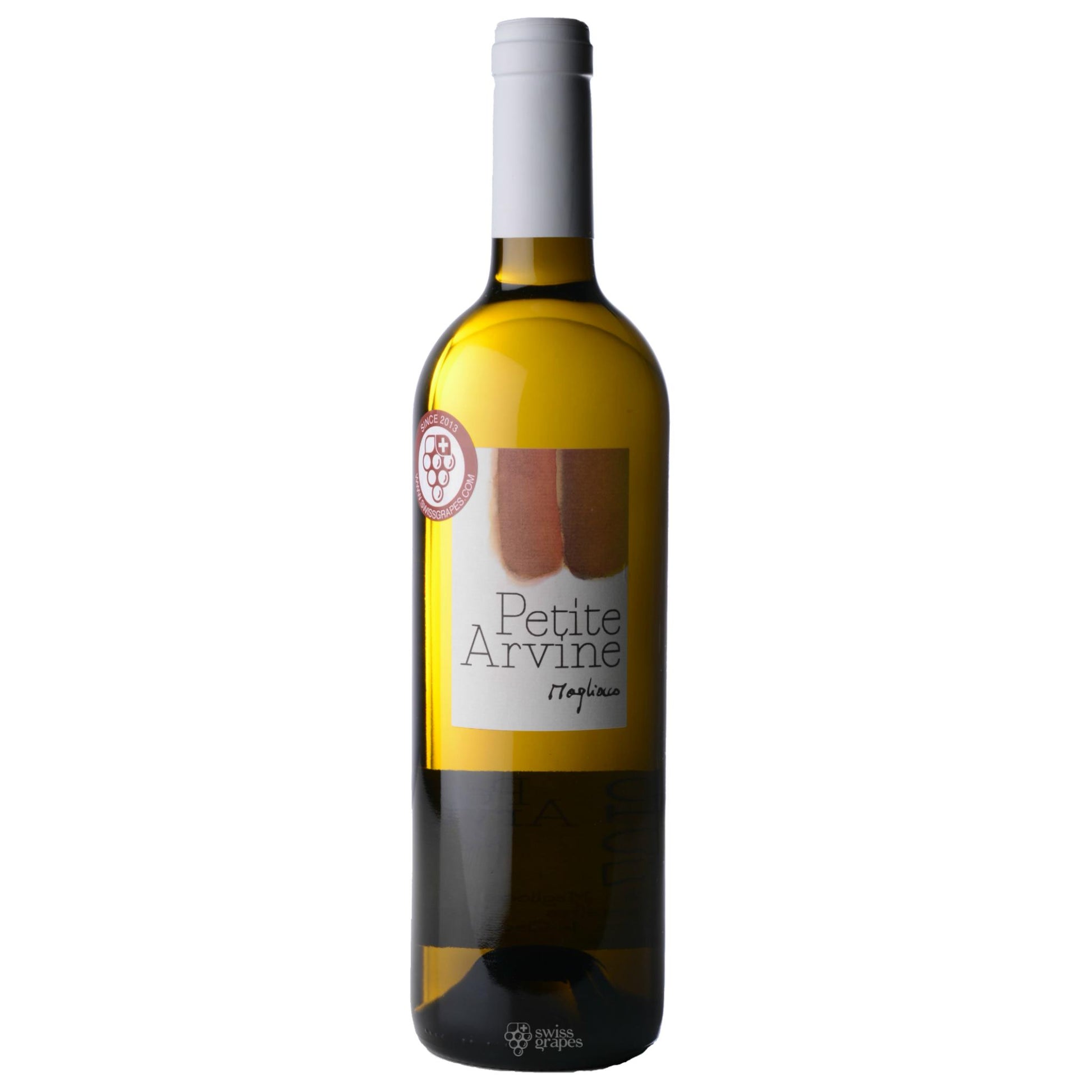 PETITE ARVINE <BR> MAGLIOCCO