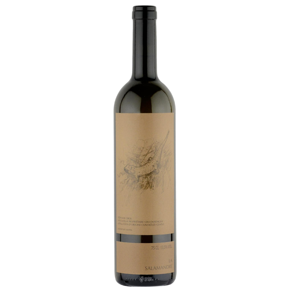 DER CHASSELAS-FLECKENSALAMANDER