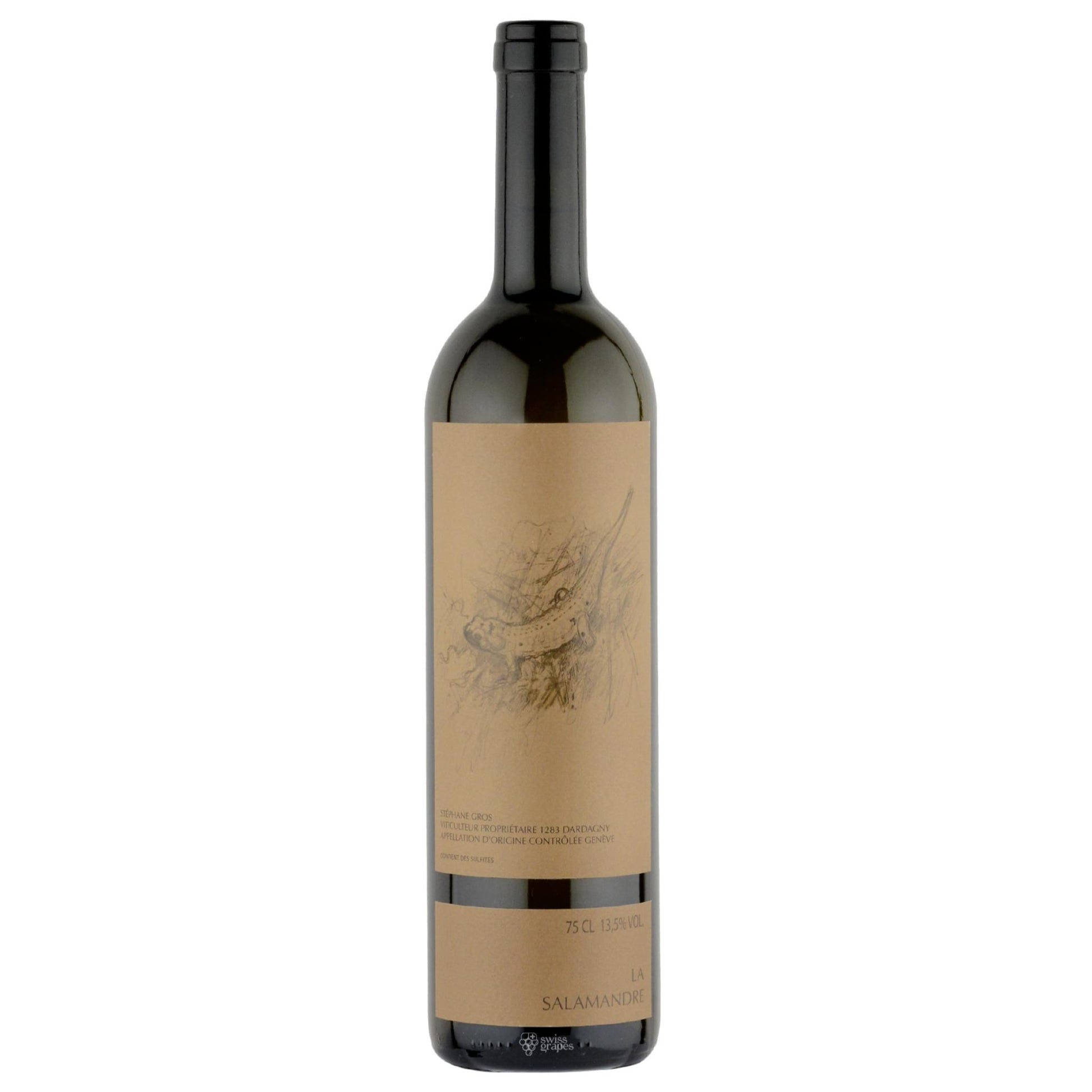 DER CHASSELAS-FLECKENSALAMANDER